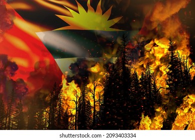 Forest Fire Natural Disaster Concept - Burning Fire In The Trees On Antigua And Barbuda Flag Background - 3D Illustration Of Nature