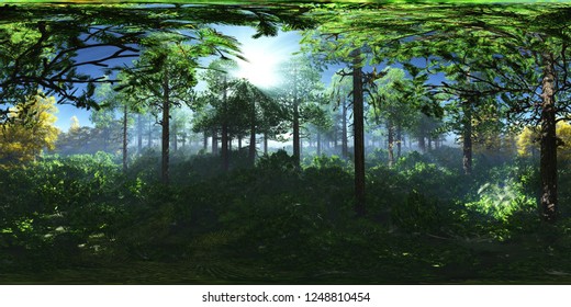 Forest In The Fog, HDRI, Environment Map , Round Panorama, Spherical Panorama, Equidistant Projection,
3d Rendering