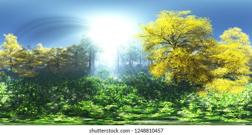 Forest In The Fog, HDRI, Environment Map , Round Panorama, Spherical Panorama, Equidistant Projection,
3d Rendering