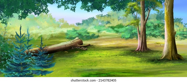 Forest Glade On A Sunny Summer Day. Digital Painting Background, Illustration.