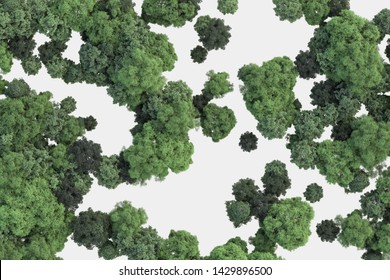 Forest Image From Above. 3d Rendering.