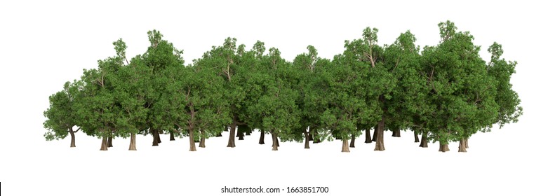 Forest Isolated Image Useful Banners Posters Stock Illustration ...