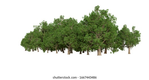 Forest Isolated Image Useful Banners Posters Stock Illustration 1494275633