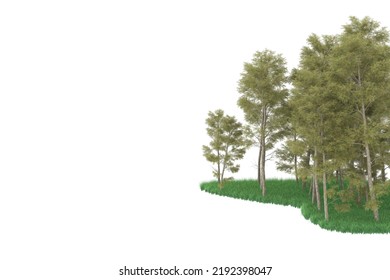 Forest isolated on background. 3d rendering - illustration