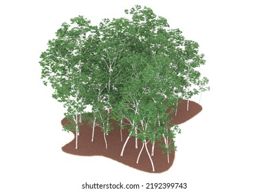 Forest isolated on background. 3d rendering - illustration