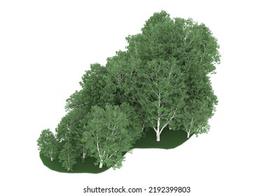 Forest isolated on background. 3d rendering - illustration