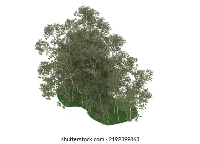 Forest isolated on background. 3d rendering - illustration