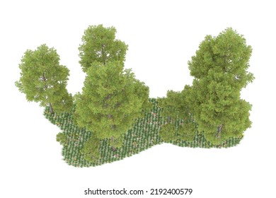 Forest isolated on background. 3d rendering - illustration