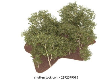 Forest isolated on white background. 3d rendering - illustration