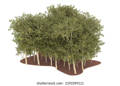 Forest isolated on white background. 3d rendering - illustration