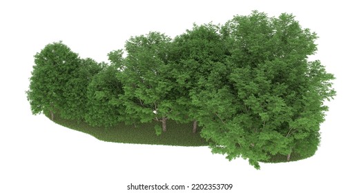 Forest isolated on white background. 3d rendering - illustration