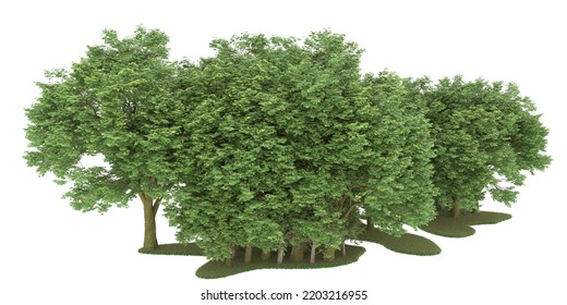 Forest Isolated On White Background 3d Stock Illustration 2203216955 ...