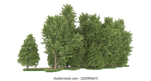 Forest Isolated On White Background 3d Stock Illustration 2203904675 ...