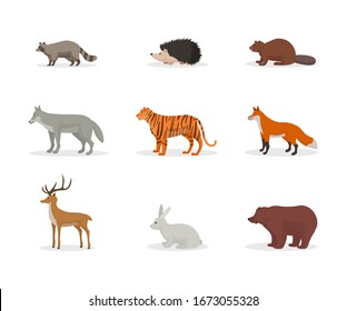 Forest Animals High Res Stock Images Shutterstock