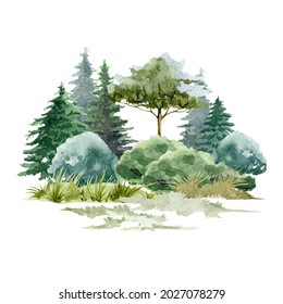 Forest landscape background scene. Watercolor illustration. Hand drawn mountains, trees, bush, grass. Wild landscape element. North nature with fir trees, pine, oak and grass. White background