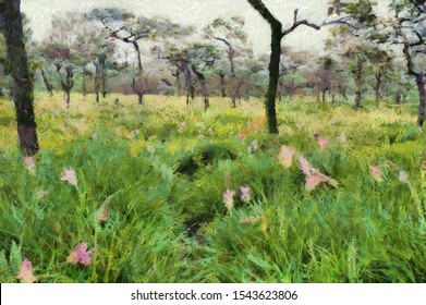 Forest landscape Illustrations creates an impressionist style of painting.