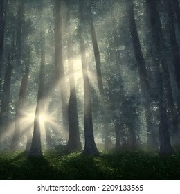 Forest In Light Of Fading Sun, Misty Air. 3D Illustration