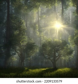 Forest In Light Of Fading Sun, Misty Air. 3D Illustration