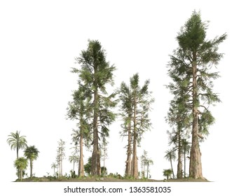 Forest Of The Mesozoic Era Isolated On White Background 3D Illustration