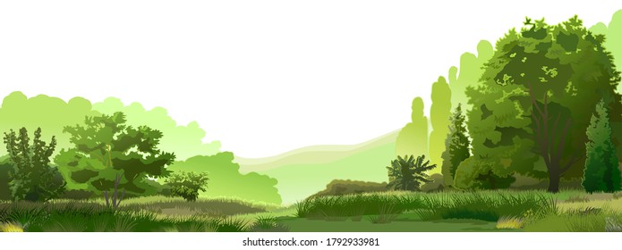 Forest Mountains Distance Vector Green Beautiful Stock Illustration ...