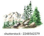 Forest and mountains landscape. Path between rocks and firtrees, Hand drawn watercolor illustration  isolated on white background