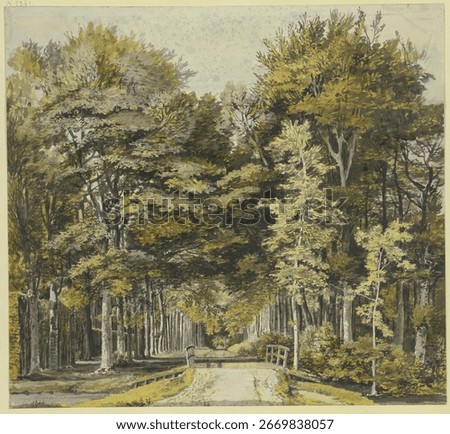 Forest path with lush trees, trees lining the path, serene forest scene, tranquil path through the trees. Vintage nature landscape art drawing illustration artwork.