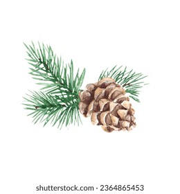 Forest pine branches with cone. Watercolor hand painted illustration on white background. For design, print or decoration. - Powered by Shutterstock