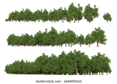 Forest Green Silhouette Vector Isolated On Stock Vector (Royalty Free ...