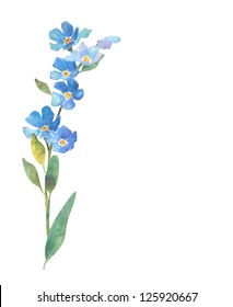 Watercolor Forget Me Not Hd Stock Images Shutterstock
