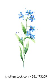 Watercolor Blue Pansies On White Background Stock Illustration ...