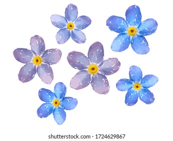 Forget Me Not Flower Isolated On White Background. Blue And Pink Bloom. Illustration. 