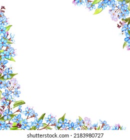 Forget  me  not flowers frame  watercolor illustration isolated white background  Hand drawn decoration for invitations  greeting card 