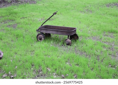 Forgotten wagon in the yard. 