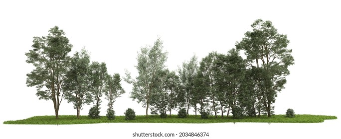 Forrest Arrangement Isolated On Background. 3d Rendering - Illustration