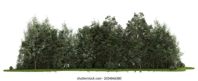 Forrest Arrangement Isolated On Background. 3d Rendering - Illustration