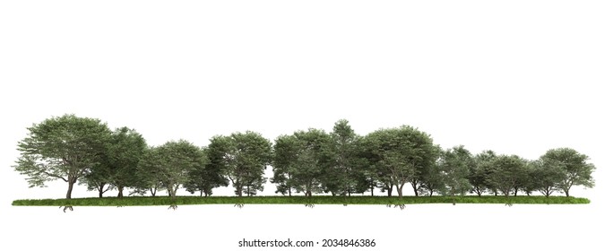 Forrest Arrangement Isolated On Background. 3d Rendering - Illustration