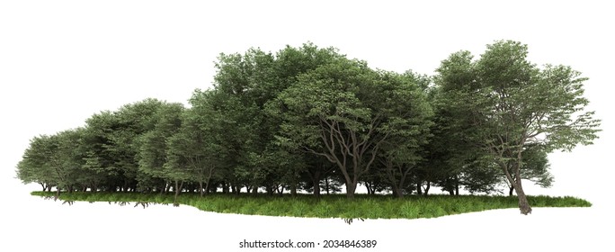 Forrest Arrangement Isolated On Background. 3d Rendering - Illustration