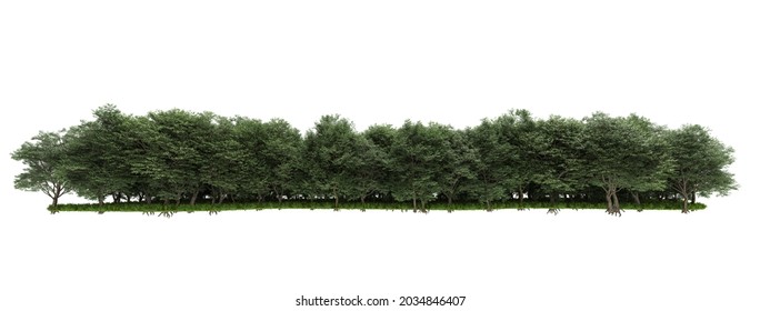 Forrest Arrangement Isolated On Background. 3d Rendering - Illustration