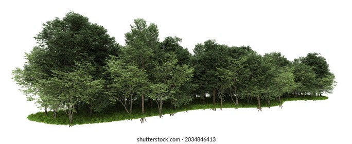 Forrest Arrangement Isolated On Background. 3d Rendering - Illustration