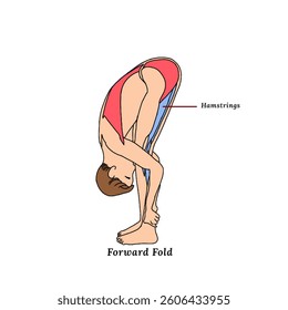 Forward fold, yoga pose, hamstring stretch