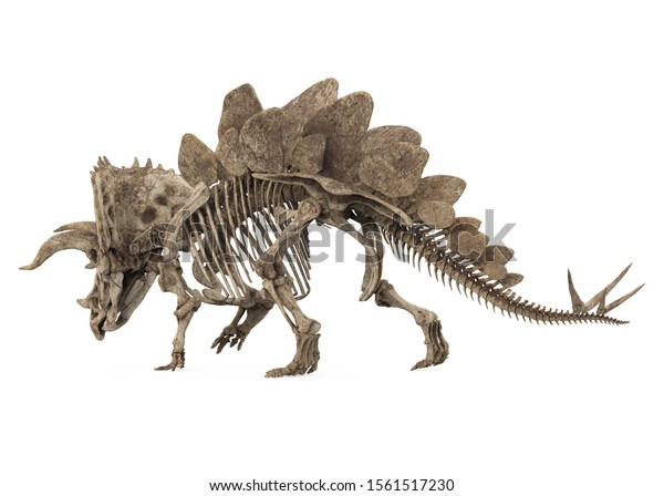 3d dinosaur fossil