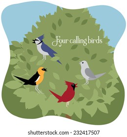 Four Calling Birds Twelve Days Of Christmas 