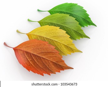 2,790 4 Seasons 3d Images, Stock Photos & Vectors | Shutterstock