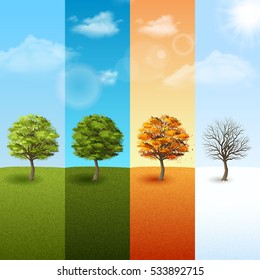 Four Season Vertical Banner Set With Trees On Blue Sky Background  Illustration