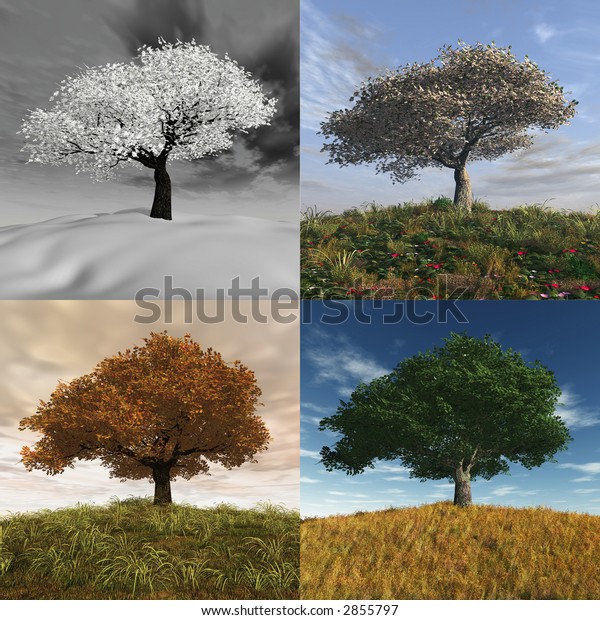 Four Seasons Time Lapse Stock Illustration 2855797