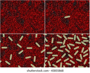 Four Stages Of Bacterial Growth