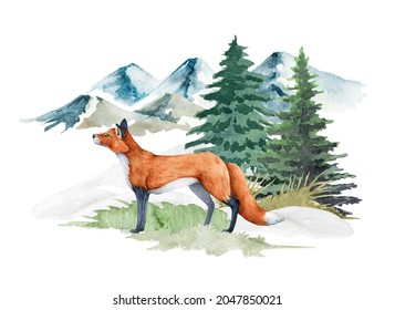 Fox Animal In Winter Forest Landscape. Watercolor Illustration. Red Fox Standing In Forest Winter Mountain Scene. Nature Print Image. Wildlife Animal In Snow, Fir Trees, Mountains