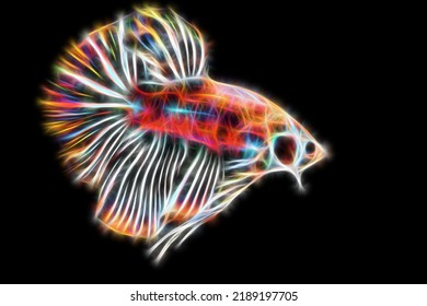 8,353 Elegant fire fish Images, Stock Photos & Vectors | Shutterstock