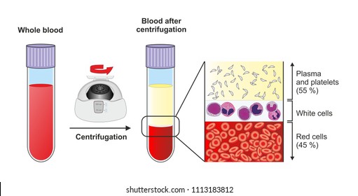 Fractionating or separating whole blood by centrifuging the resulting components are plasma with platelets, a layer of leukocytes or buffy coat and erythrocytes at the bottom of the tube. 