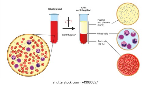 Blood Plasma Images Stock Photos Vectors Shutterstock